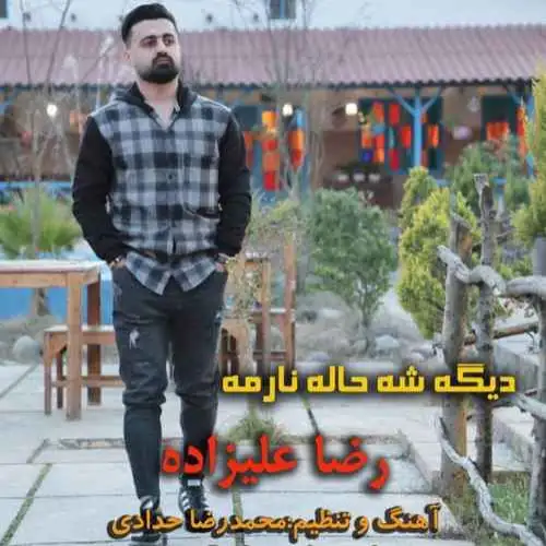 دیگه شه حاله نارمه